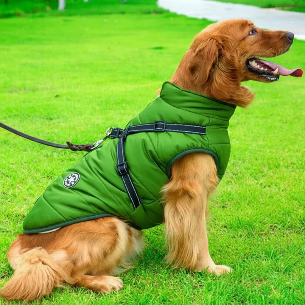 Waterproof Winter Dog Jacket with Sherpa Fleece Lining and Harness