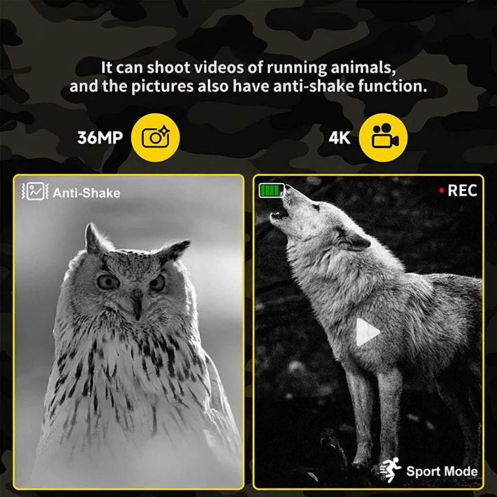 Night Vision Binoculars with Infrared Technology