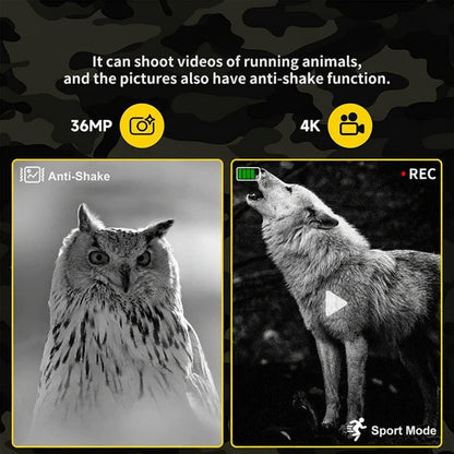 Night Vision Binoculars with Infrared Technology