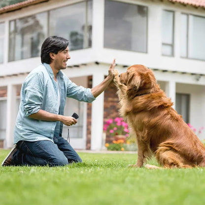Ultrasonic Anti Bark Training Device for Dogs