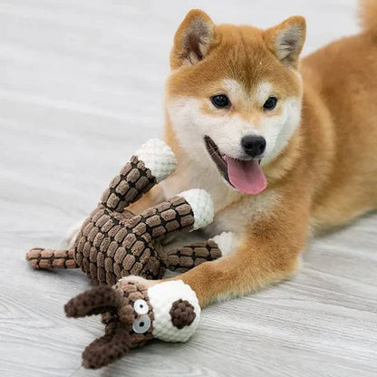 Plush Dog Toy with Reinforced Squeaker for Chewing and Fetch
