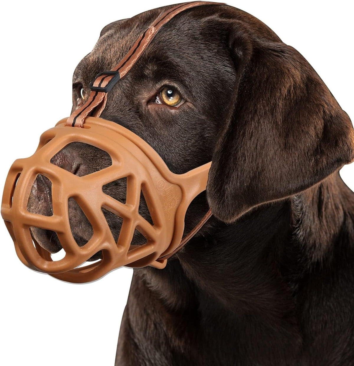 Basket Dog Muzzle with Adjustable Straps and Training Guide for Walks and Vet Visits