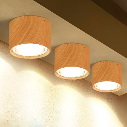 LED Ceiling Spotlight Cylinder, Adjustable Modern Indoor Light