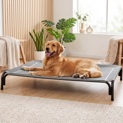 Elevated Large Dog Bed with Breathable Mesh for Indoor Outdoor Use