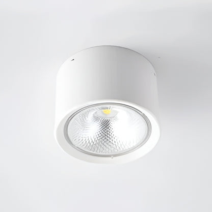 LED Ceiling Spotlight Cylinder, Adjustable Modern Indoor Light