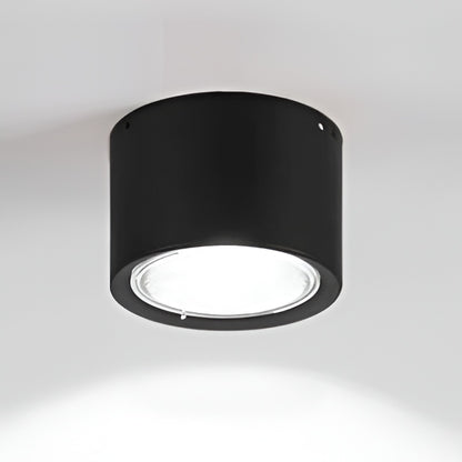 LED Ceiling Spotlight Cylinder, Adjustable Modern Indoor Light