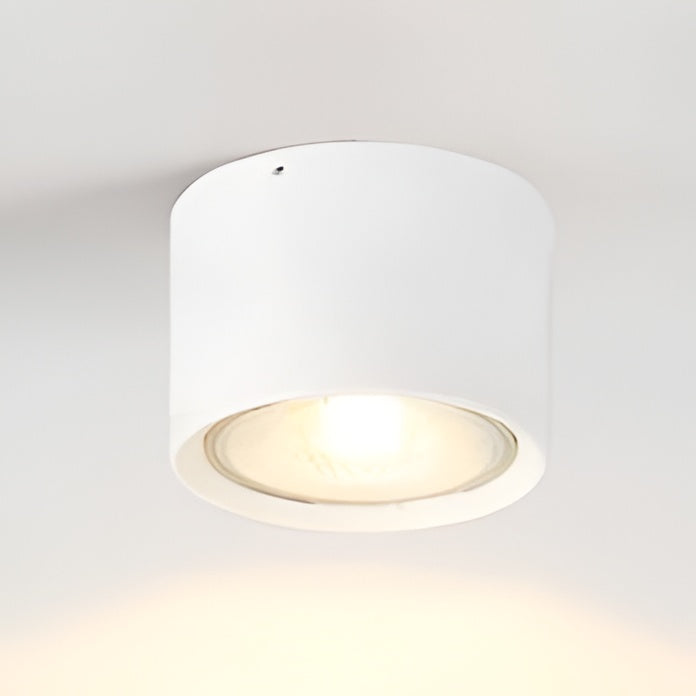 LED Ceiling Spotlight Cylinder, Adjustable Modern Indoor Light