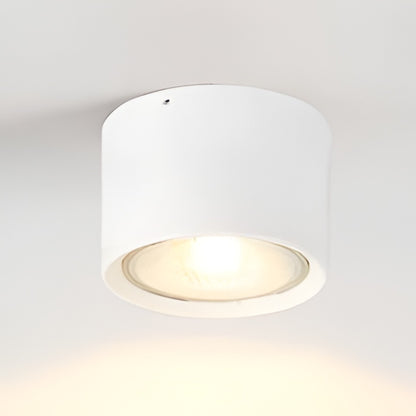 LED Ceiling Spotlight Cylinder, Adjustable Modern Indoor Light