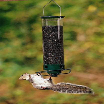 Rotating Perch Bird Feeder with Metal Frame and Clear Tube, Forest Green