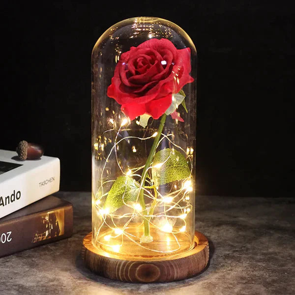 Preserved Real Rose with LED Dome Display and Battery Base