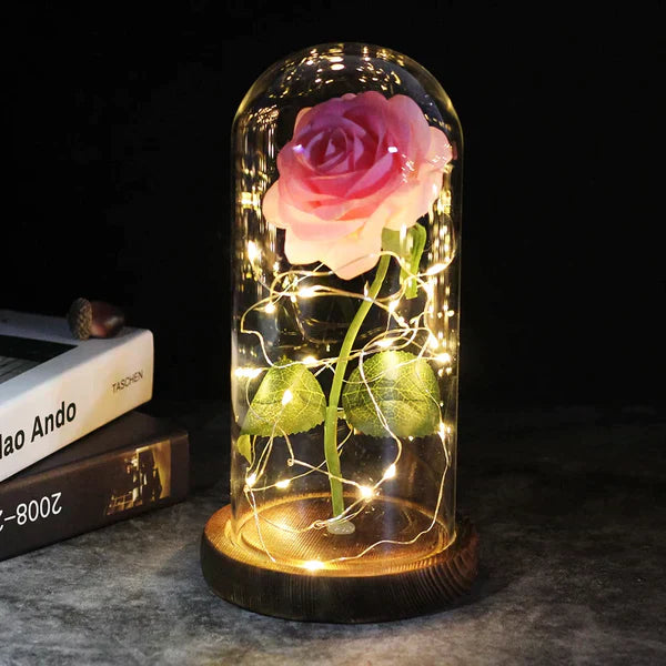 Preserved Real Rose with LED Dome Display and Battery Base