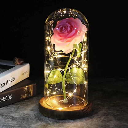 Preserved Real Rose with LED Dome Display and Battery Base