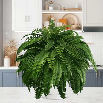 Artificial Boston Fern Set with Polyethylene and Water Resistant Construction, 18 Pack