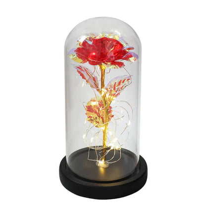 Preserved Real Rose with LED Dome Display and Battery Base