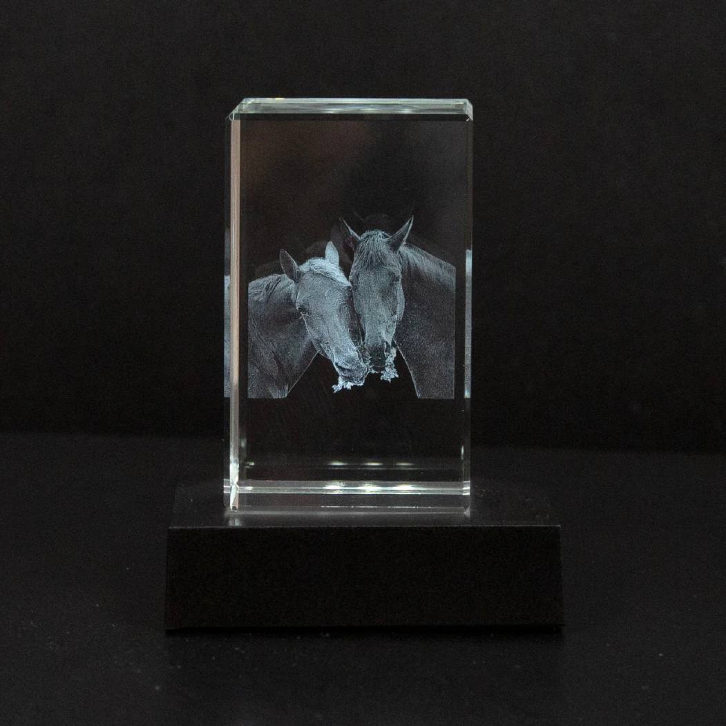 Personalized Crystal Photo Keepsake for Pet Memory