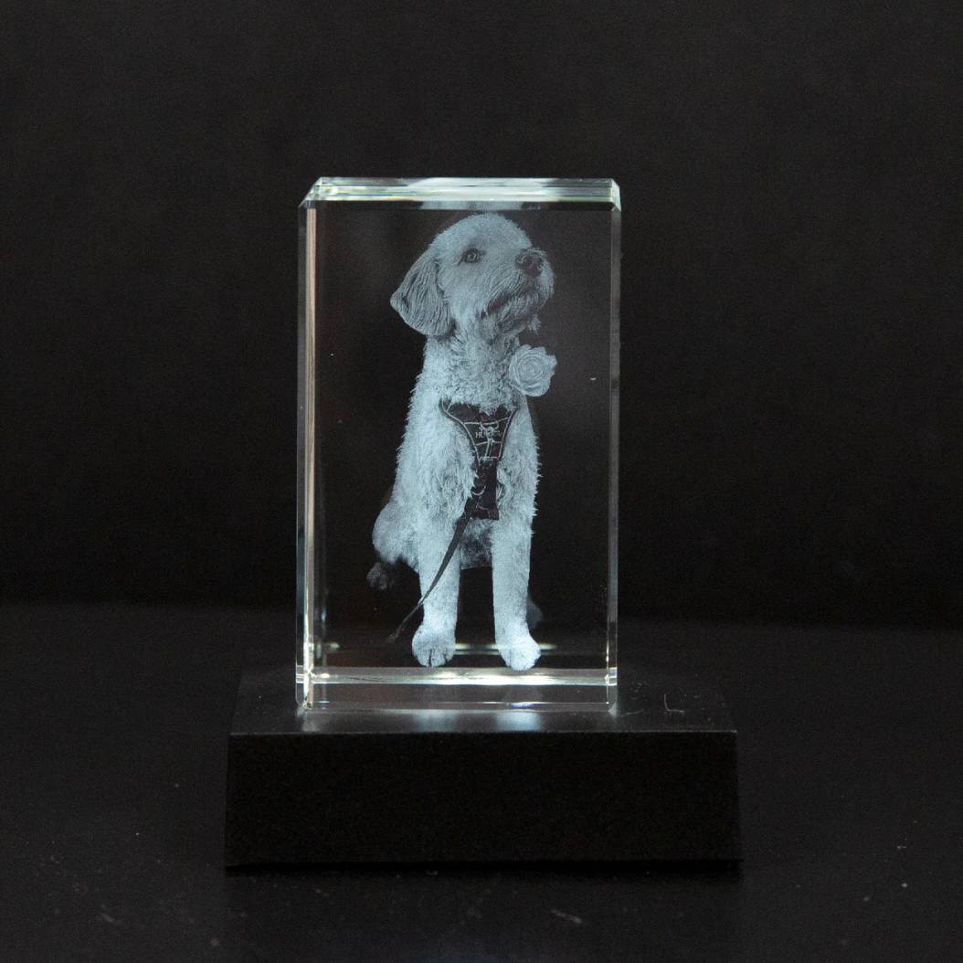 Personalized Crystal Photo Keepsake for Pet Memory