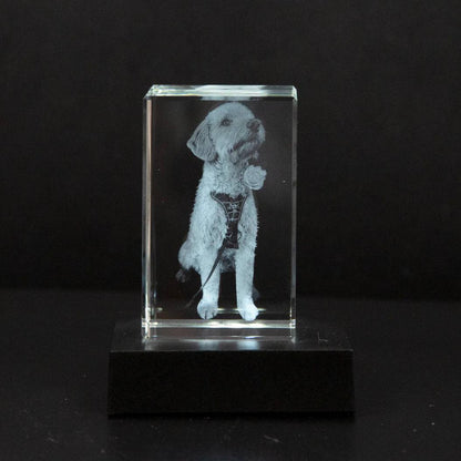 Personalized Crystal Photo Keepsake for Pet Memory