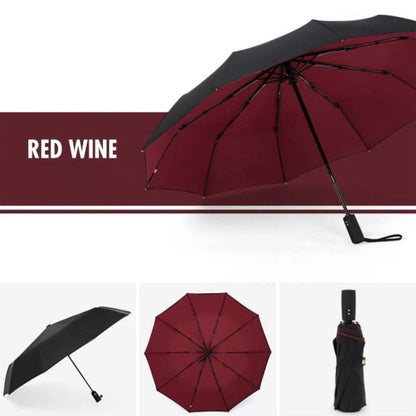Windproof Storm Umbrella for All Weather Conditions