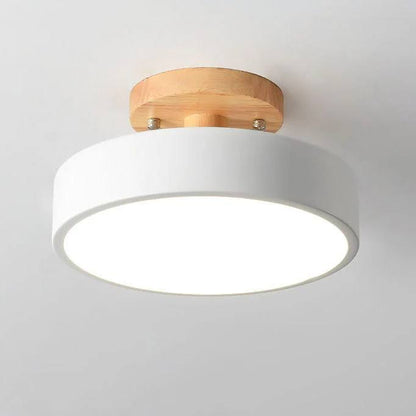 LED Ceiling Light With Integrated LED and Adjustable Color Temperature