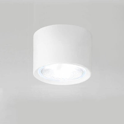 LED Ceiling Spotlight Cylinder, Adjustable Modern Indoor Light