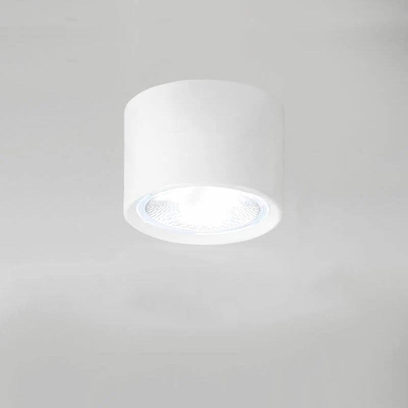 LED Ceiling Spotlight Cylinder, Adjustable Modern Indoor Light