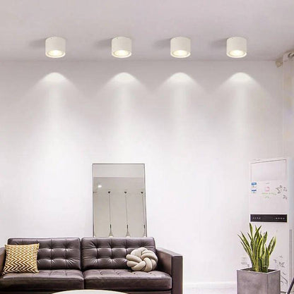 LED Ceiling Spotlight Cylinder, Adjustable Modern Indoor Light