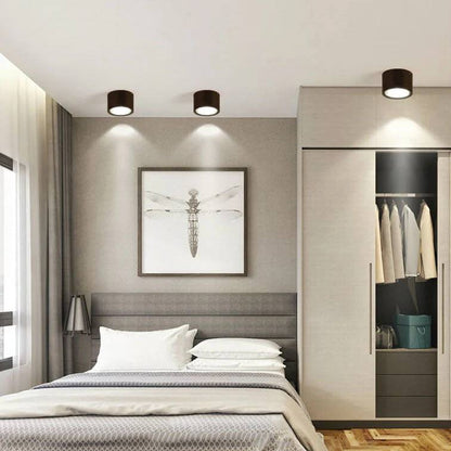 LED Ceiling Spotlight Cylinder, Adjustable Modern Indoor Light