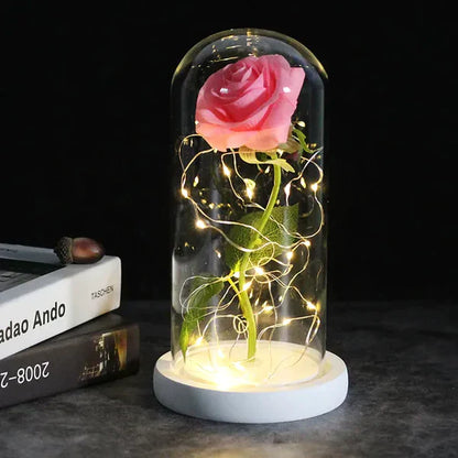 Preserved Real Rose with LED Dome Display and Battery Base