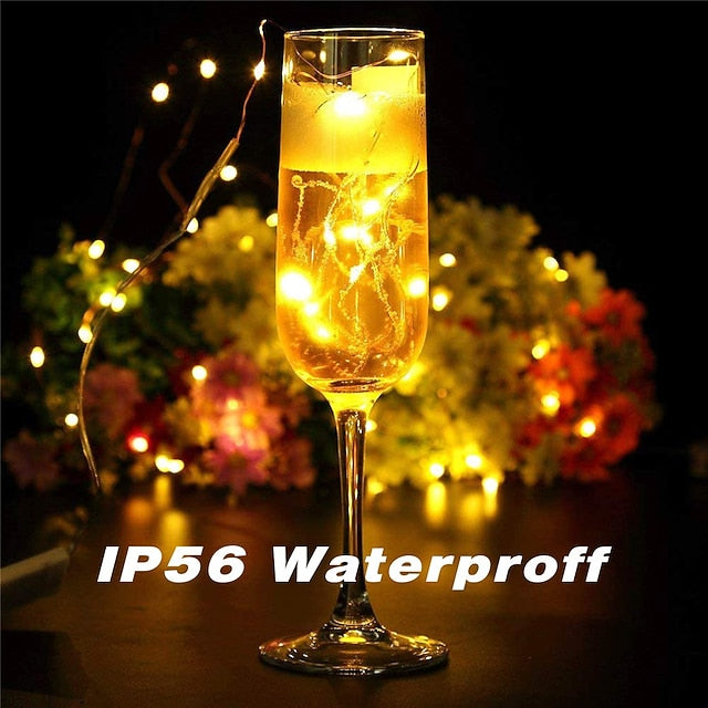 Firefly String Lights, 7Ft 20 LED Battery Operated with Flexible Silver Wire for Mason Jars and Wedding Decor