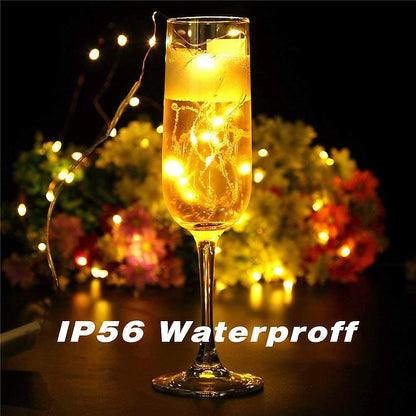 Firefly String Lights, 7Ft 20 LED Battery Operated with Flexible Silver Wire for Mason Jars and Wedding Decor
