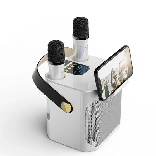 Portable Bluetooth Karaoke Speaker with 360 Sound and Dual Mic Inputs