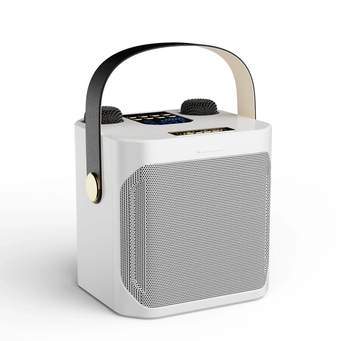 Portable Bluetooth Karaoke Speaker with 360 Sound and Dual Mic Inputs