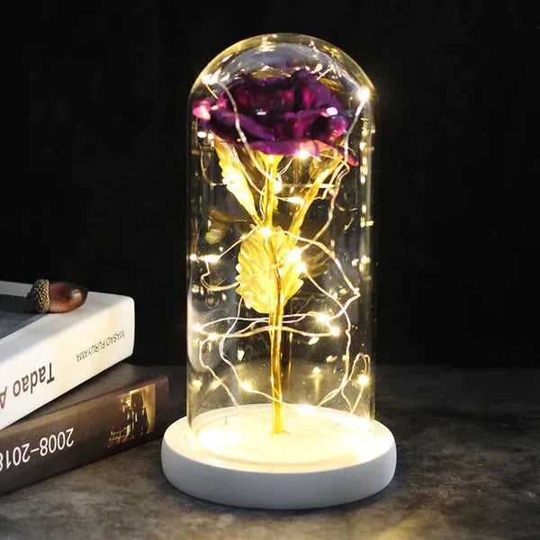 Preserved Real Rose with LED Dome Display and Battery Base