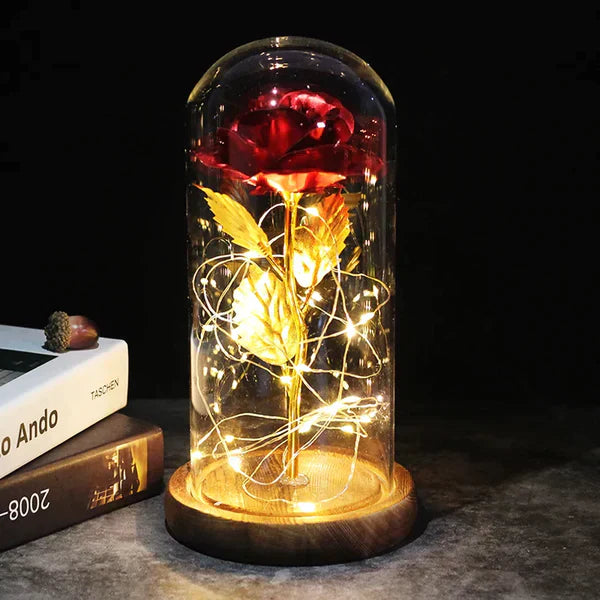 Preserved Real Rose with LED Dome Display and Battery Base