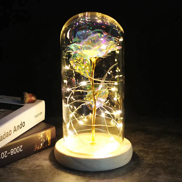 Preserved Real Rose with LED Dome Display and Battery Base