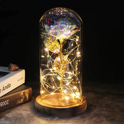 Preserved Real Rose with LED Dome Display and Battery Base