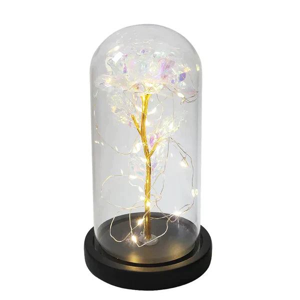 Preserved Real Rose with LED Dome Display and Battery Base