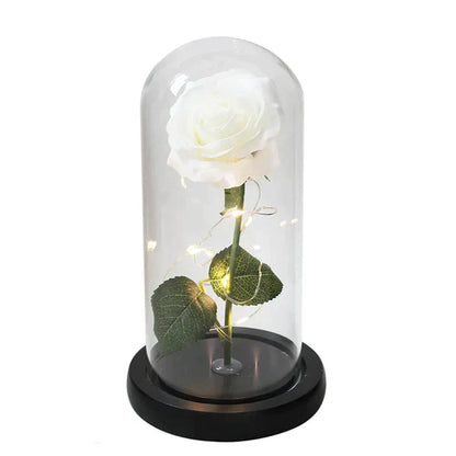 Preserved Real Rose with LED Dome Display and Battery Base
