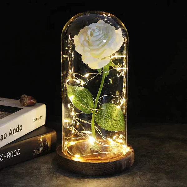 Preserved Real Rose with LED Dome Display and Battery Base