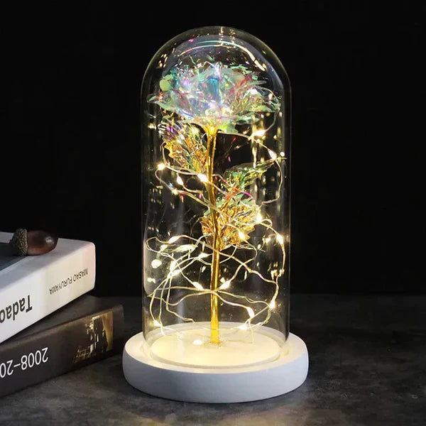 Preserved Real Rose with LED Dome Display and Battery Base