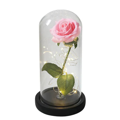 Preserved Real Rose with LED Dome Display and Battery Base